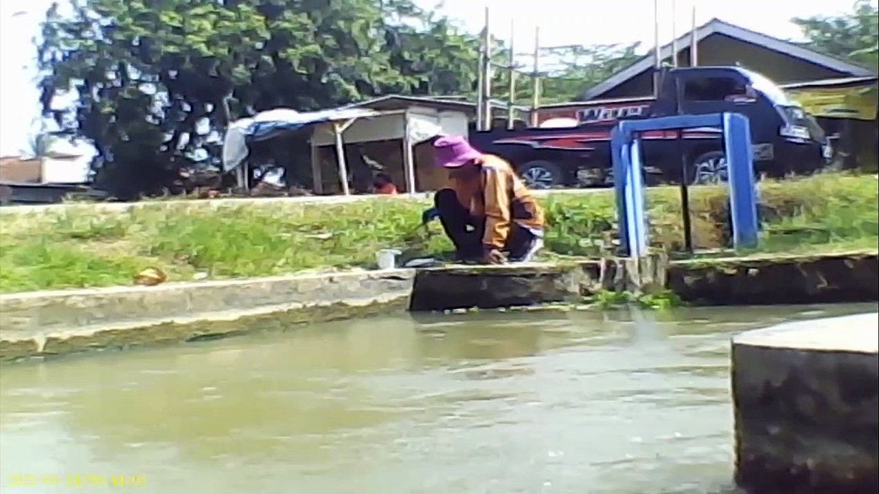 Mancing Nilem Di Kotakan KarangJati