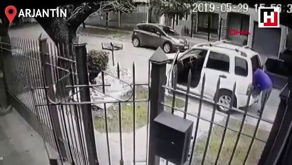 Köpekler sahiplerini hırsızlardan böyle kurtardı