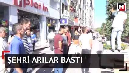 Şehri arılar bastı