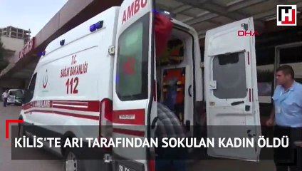 Kilis'te arı tarafından sokulan kadın öldü