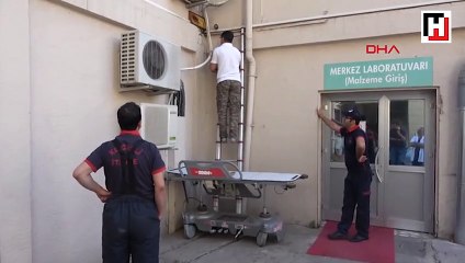 Hastaneye kovan yapan arılar alındı