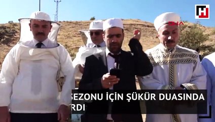 Verimli bal sezonu için şükür duasında arılar saldırdı