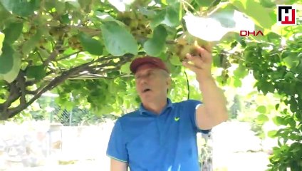 Muharrem İnce günü köyevinde dinlenerek geçirdi