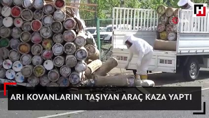 Arı kovanlarını taşıyan araç kaza yaptı