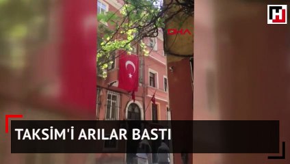 Taksim'i arılar bastı!