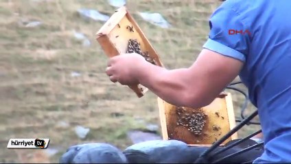 Arı heykeli 5 kilo bal verdi