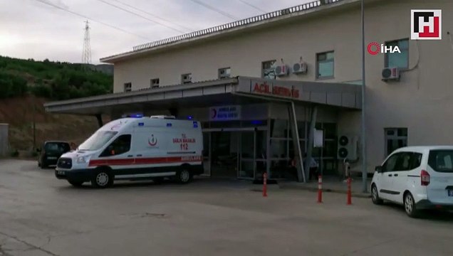 Tunceli'de bal arılarının soktuğu kişi öldü