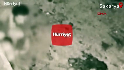 Sakarya'da köpeğe taciz anı kameralara yansıdı