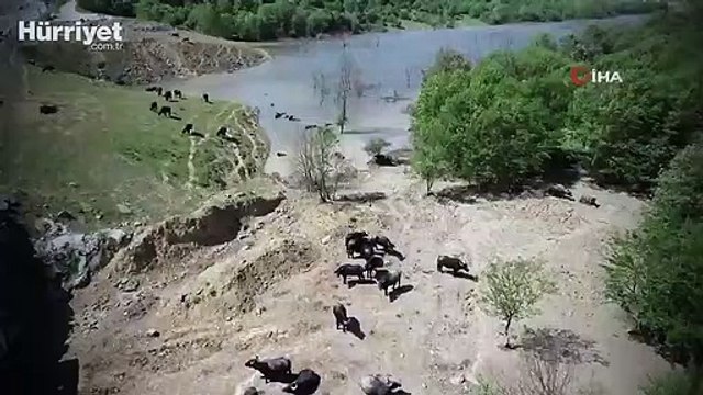 İstanbul’un göbeğinde belgesel tadında görüntüler