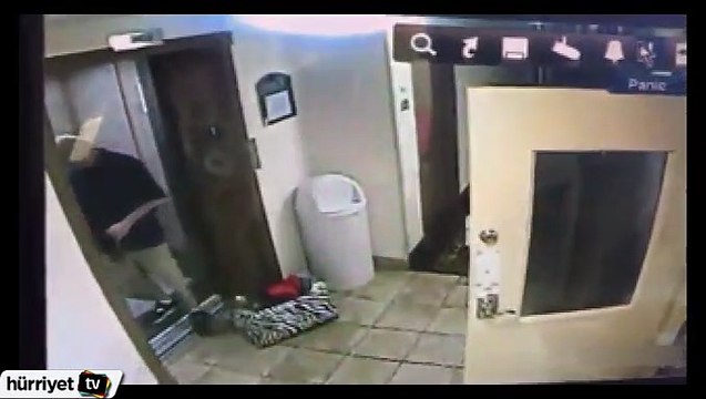 Tasması asansör kapısına sıkışan köpeğin mucize kurtuluşu