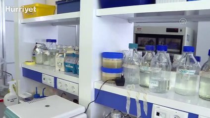 Aşı ve ilaçla ilgili önemli açıklama! Bugünden itibaren hayvan deneyleri başlıyor