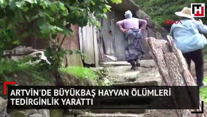 Üç ilçede panik... Anonslar yapılıyor