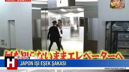 JAPON İŞİ EŞEK ŞAKASI