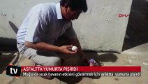 Muğla'da asfaltta yumurta pişirdi izlenme rekoru kırdı