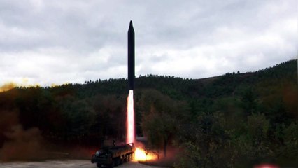 [뉴스라이브] 군용기·미사일에 방사포 포격까지...北 성동격서식 도발 의도는? / YTN