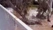 Floodwaters in Newbridge on Friday morning | October 14, 2022 | Bendigo Advertiser