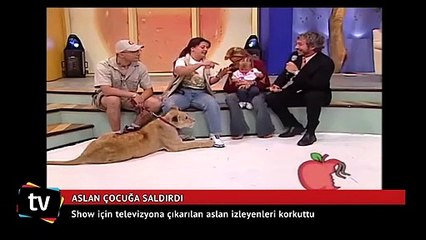 Canlı yayında aslan, çocuğa saldırdı!