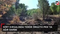 Siirt kırsalında terör örgütü PKK'ya ağır darbe