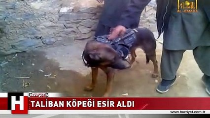 İLK KEZ BÖYLE BİR ŞEY YAŞANDI! DÜNYA ŞOKTA