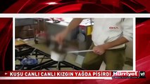 BU GÖRÜNTÜLERE TEPKİ YAĞIYOR