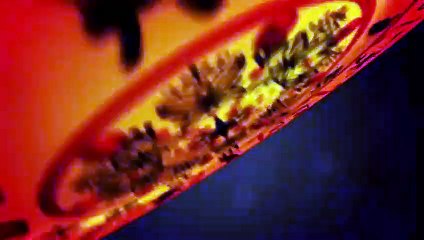 Balık - 5 Haziran haftası burç yorumları