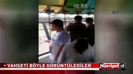 VAHŞET ANLARI KAMERADA