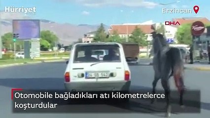 Tepki çeken görüntü! Otomobile bağladıkları atı kilometrelerce koşturdular