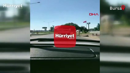 Kamyonetin arkasına bağlanan at, kilometrelerce koştu