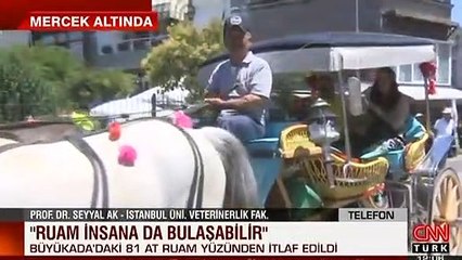Ruam hastalığı insana da bulaşabilir