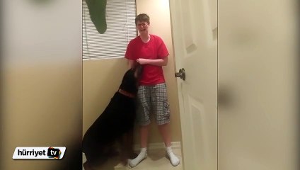 Kendine zarar veren çocuğa köpek engel oldu