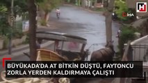 Büyükada’da at bitkin düştü, faytoncu zorla yerden kaldırmaya çalıştı