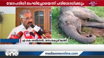 ട്രെയിന്‍ തട്ടി ആന ചരിഞ്ഞ സംഭവത്തില്‍ നിയമ നടപടി സ്വീകരിക്കുമെന്ന് വനം മന്ത്രി