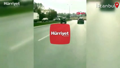 Başakşehir'de başıboş kaçan at ortalığı birbirine kattı