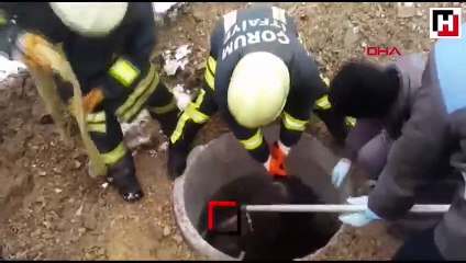 Kuyuya düşen at iş makinesiyle kurtarıldı