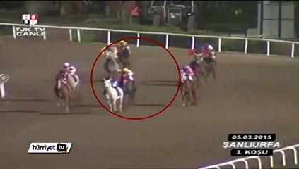 Yarışın başından sonuna kadar şiddet gören at yere yığıldı