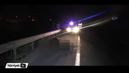 Minibüsün çarptığı yaralı atı ölüme terk ettiler