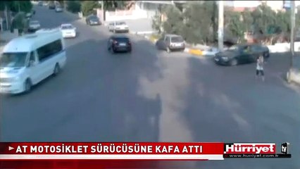 AT MOTOSİKLET SÜRÜCÜSÜNE KAFA ATTI