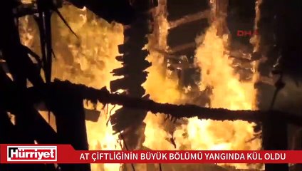 Zonguldak'ta at çiftliğinin büyük bölümü yangında kül oldu