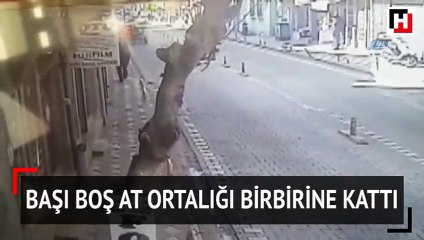 Başı boş at ortalığı birbirine kattı