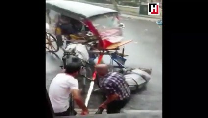 Yağmurda yere düşen ata eziyet
