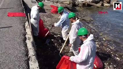 Foça'da kıyılara bulaşan petrol atığını 50 kişilik ekip temizliyor
