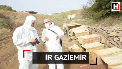 Devlet uyur, radyasyon uyumaz