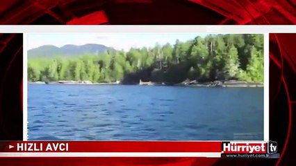 KARTAL TEKNEDEN BALIĞI BÖYLE KAPTI