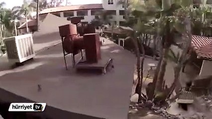 Çatılardan havuza atlayan çılgın genç