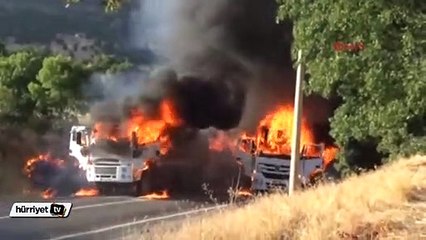 Tunceli'de yol kesen PKK'lılar üç aracı ateşe verdi