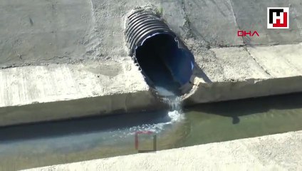 Kavak Deresi'ne kimyasal karıştığı iddiası