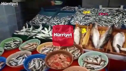 Karadeniz'de hamsi avına 10 gün yasak getirildi