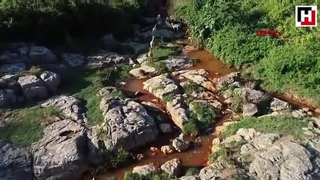 Dilovası Eynerce Deresi'nde kimyasal atık şüphesi