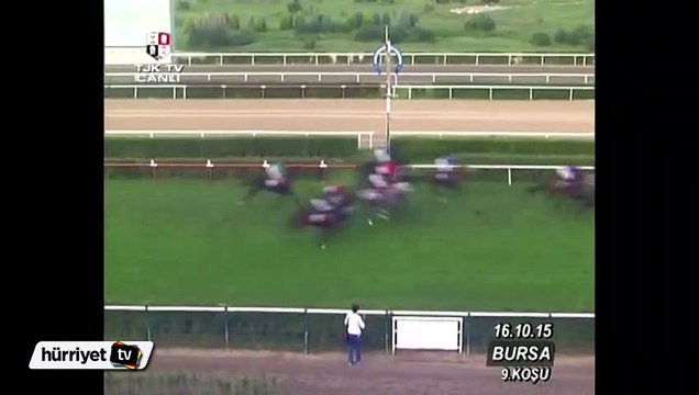 Pango isimli atın finişte ayağı kırıldı