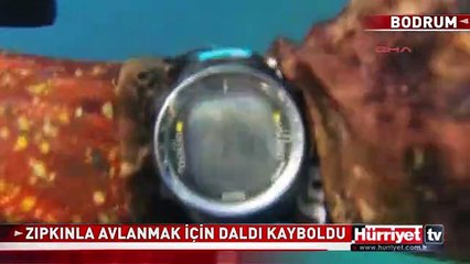 ZIPKINLA AVLANMAK İÇİN DALDI KAYBOLDU